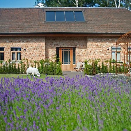 B&B Gielse Garden Gierle エクステリア 写真